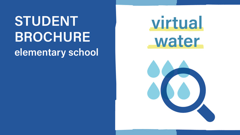 Virtual water and water waste