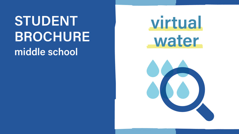 Virtual water and water waste - middle school