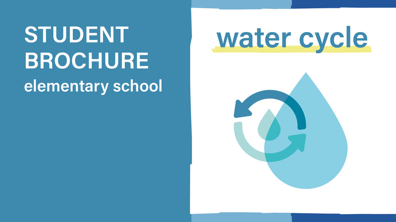 The natural water cycle