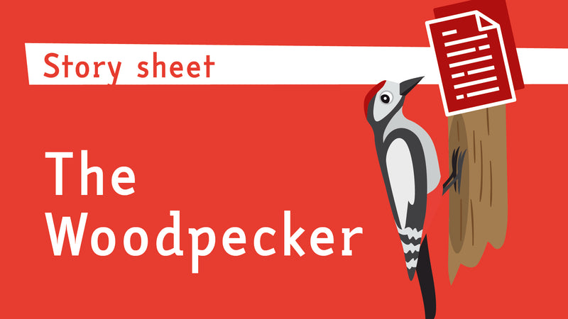 The Woodpecker